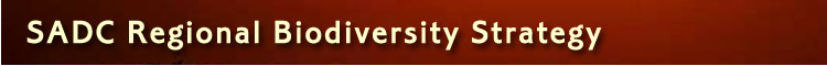 SADC Regional Biodiversity Strategy